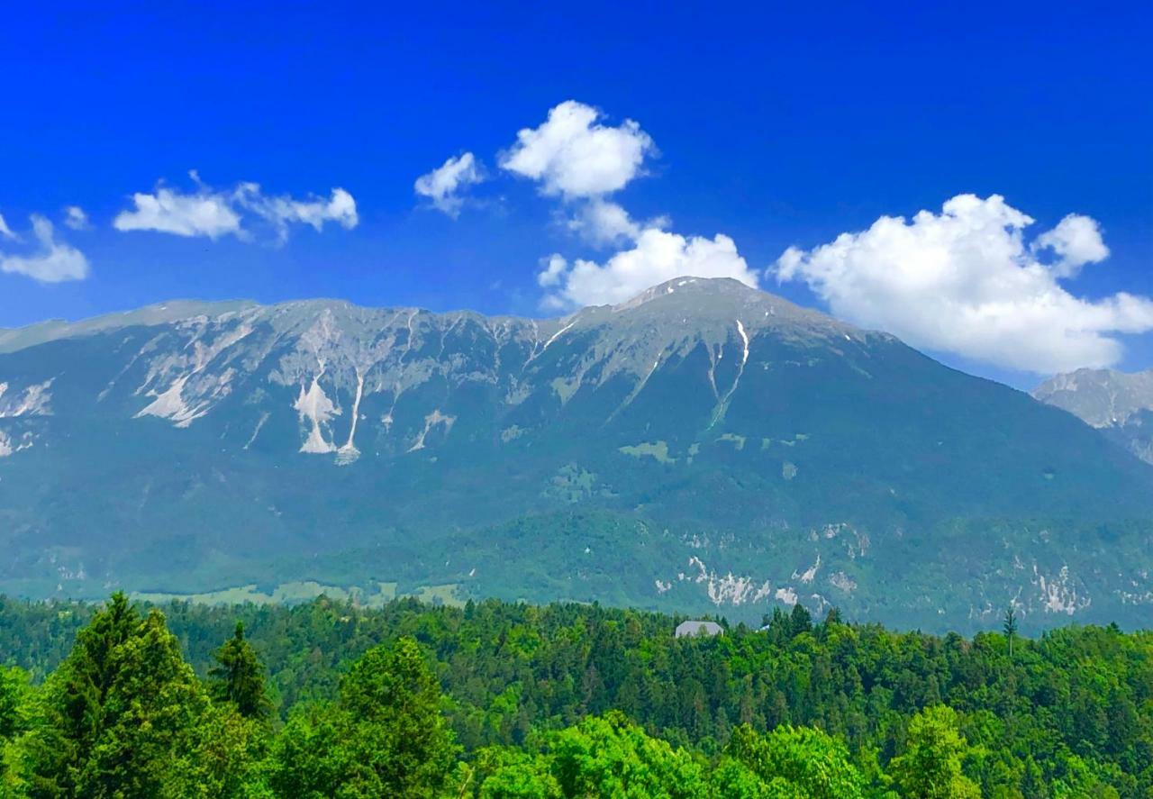 Apartma As Bled Exterior photo